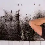 Schimmel an der Wand - Schimmelbeseitigung - Küchenwand