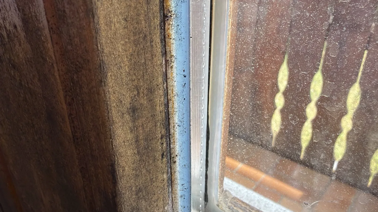 schimmel bad feuchter fenstersims - Richtig l&uuml;ften im Sommer &ndash; Abk&uuml;hlen statt Ausk&uuml;hlen