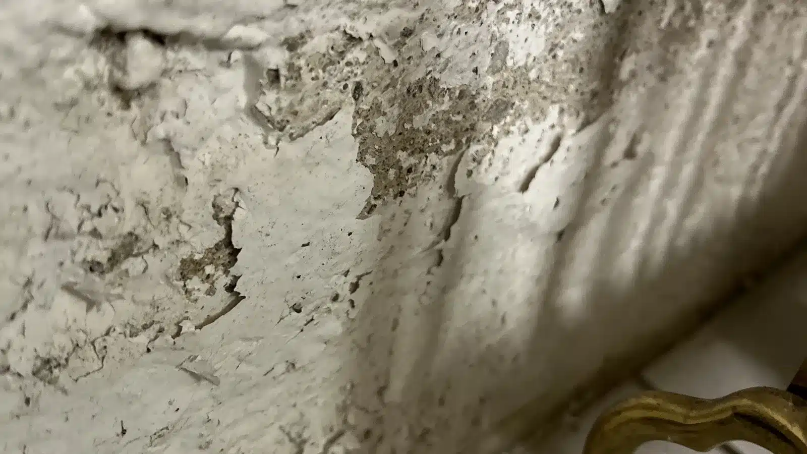 Schimmel nach Wasserschaden verhindern schimmel nach wasserschaden feuchte wand ausbluehung - Schimmel nach Wasserschaden verhindern