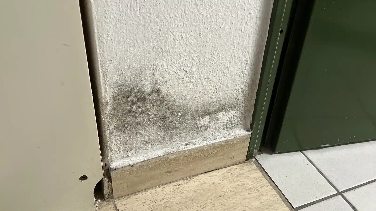 Schimmel nach Wasserschaden verhindern schimmel nach wasserschaden sockelschimmel - Schimmel nach Wasserschaden verhindern