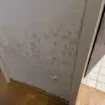 Schimmel nach Wasserschaden Wandflecken