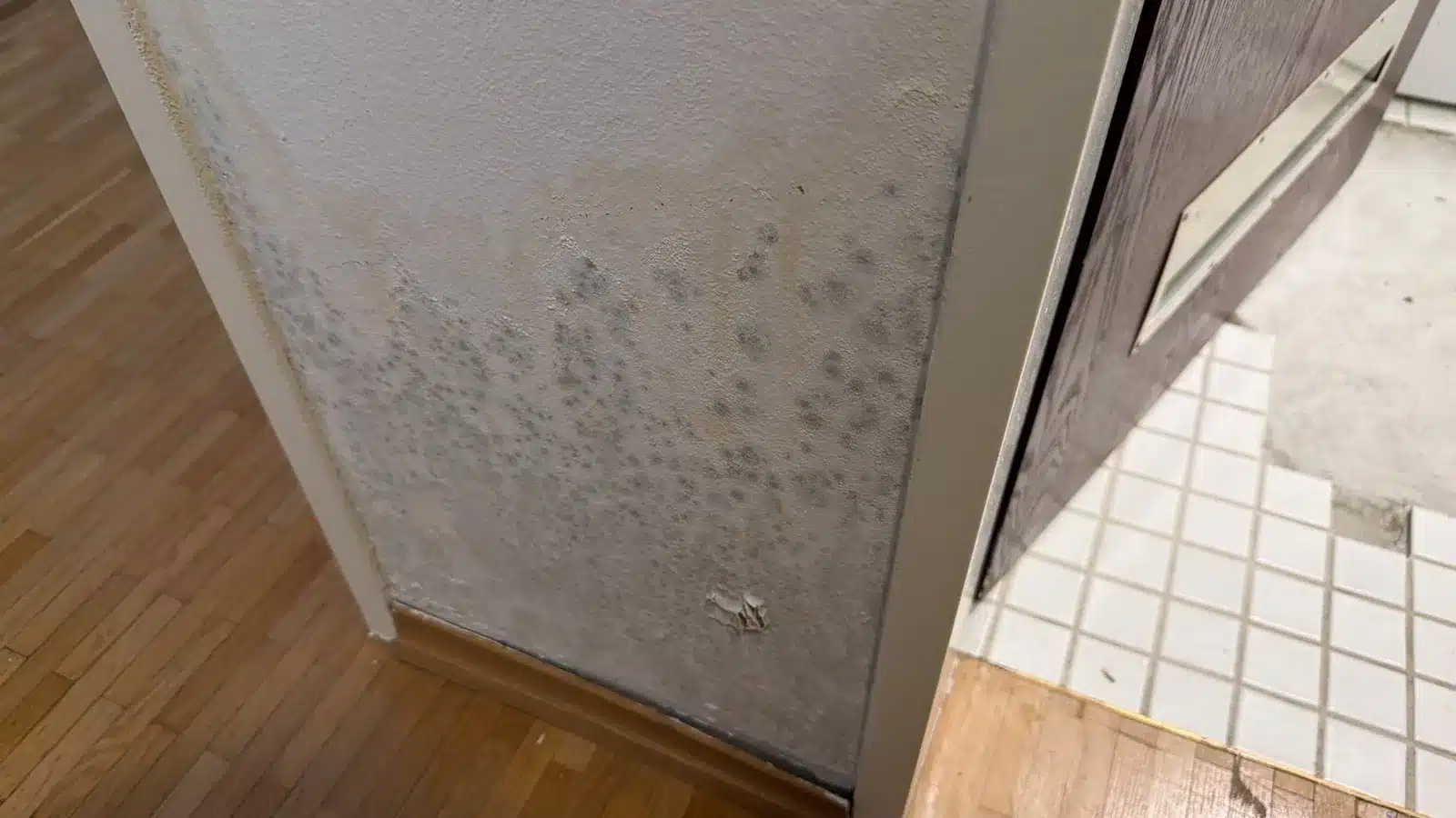 Schimmel nach Wasserschaden Wandflecken Schimmel nach Wasserschaden Wandflecken
