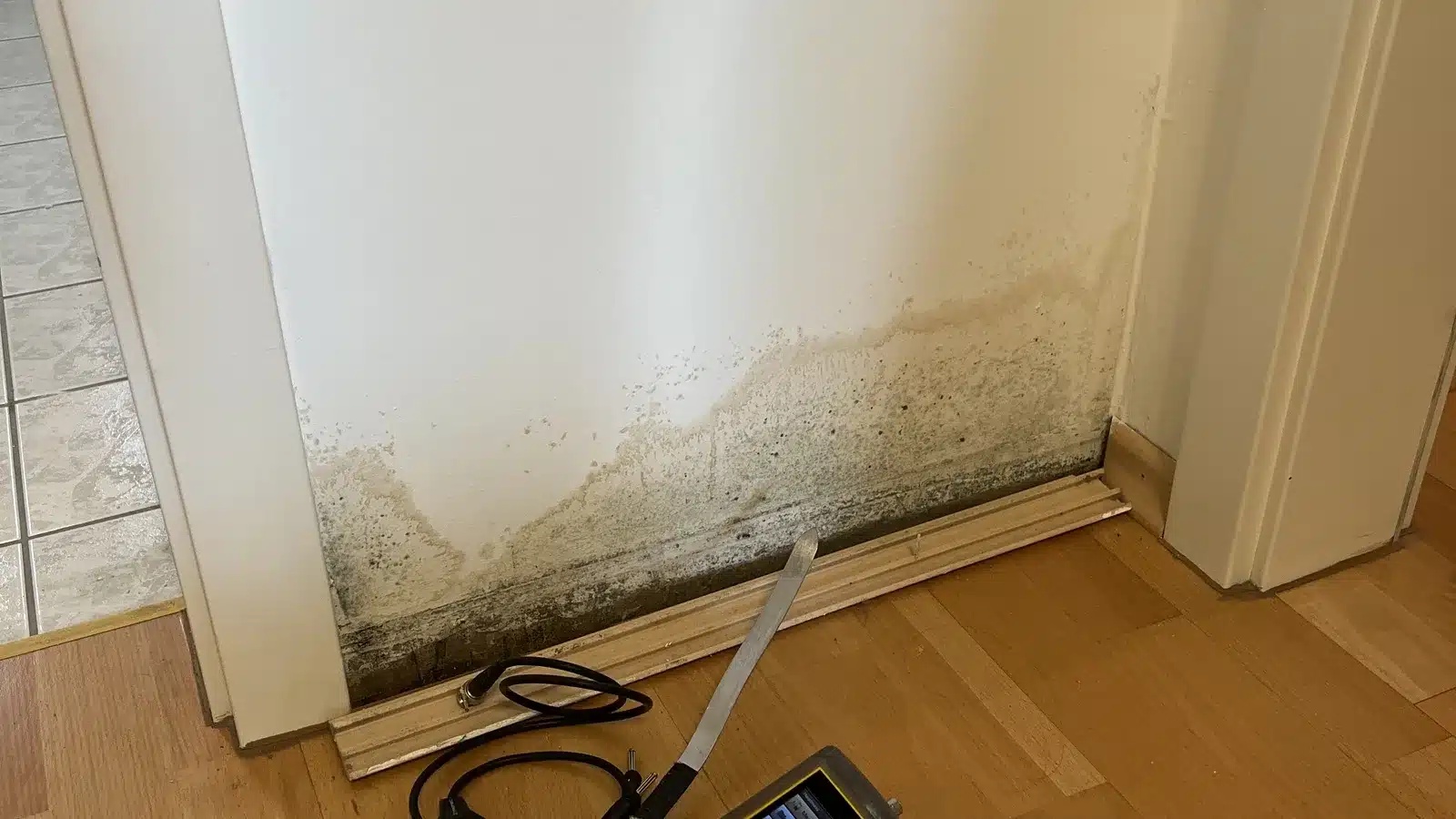 schimmel schlafzimmer sockelschimmel wand - Schimmel im Schlafzimmer: Ursachen, Gesundheit und Beseitigung