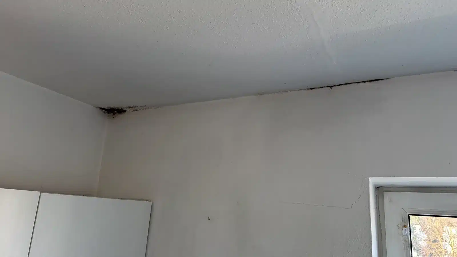 schimmel wand deckenecke fensternah - Schimmel an der Wand &ndash; Ursachen, Vorbeugung und Beseitigung