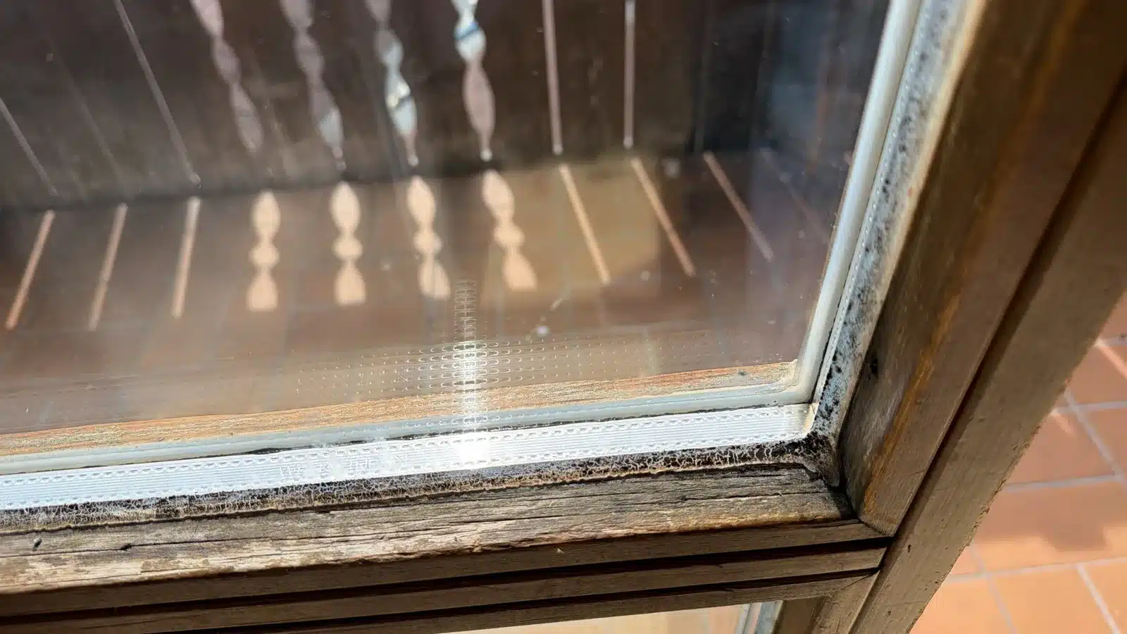 Wie gefährlich ist Schimmel? Schwarzer Schimmel und Gesundheit schwarzer schimmel gefahr kondenswasser fenster - Wie gefährlich ist Schimmel? Schwarzer Schimmel und Gesundheit