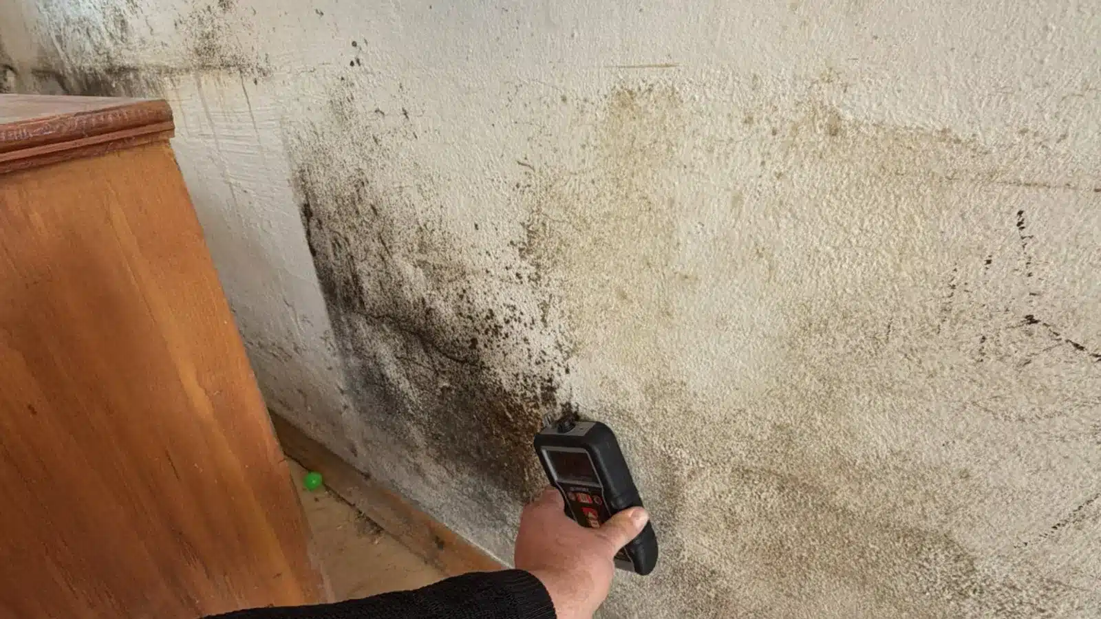 Schwarzer Schimmel Gefahr Wand Messung Schwarzer Schimmel Gefahr Wand Messung