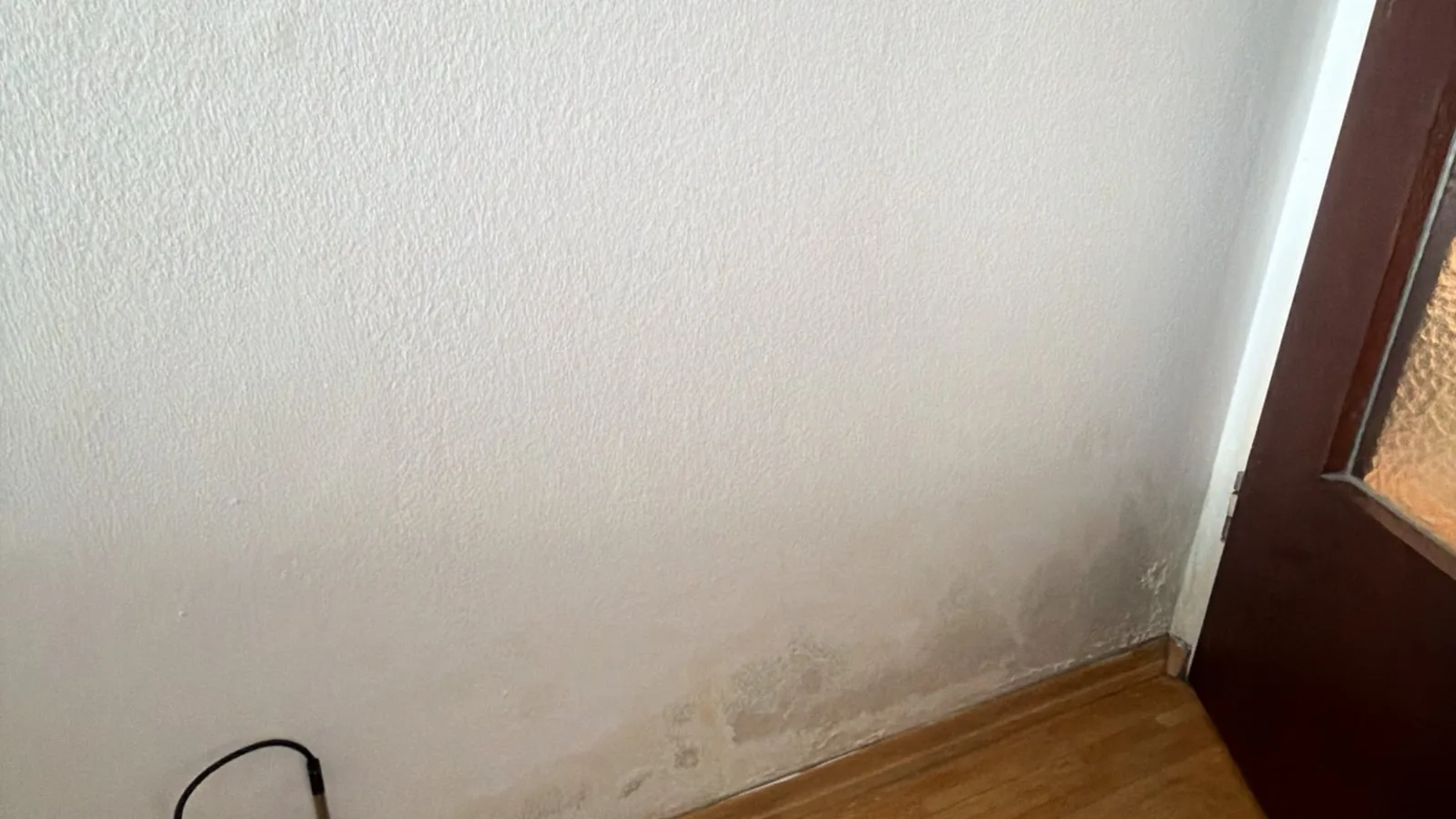 warum bautrocknung feuchtemessung wand - Warum Bautrocknung? Gr&uuml;nde, Nutzen und Kosten