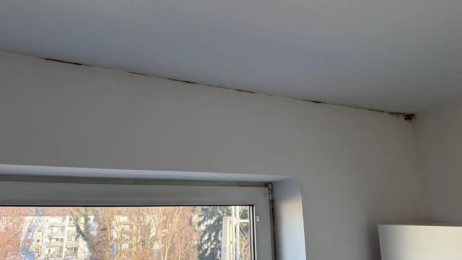 Wasserschaden Decke Feuchte Deckenecke