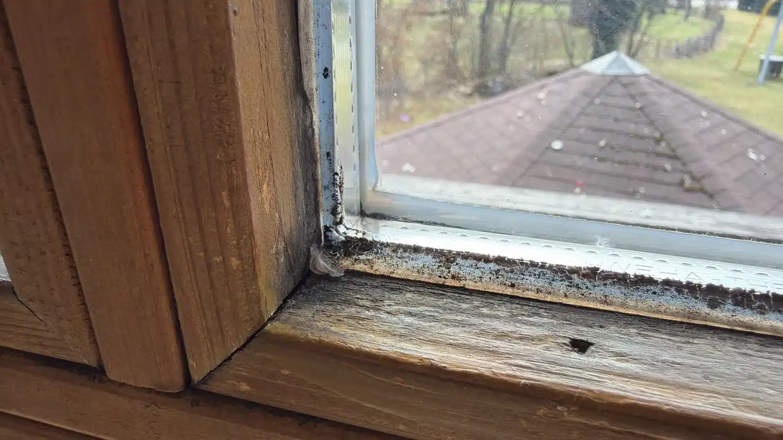 wasserschaden decke feuchteschaden fenster - Wasser von der Decke: Ursachen erkennen und richtig handeln
