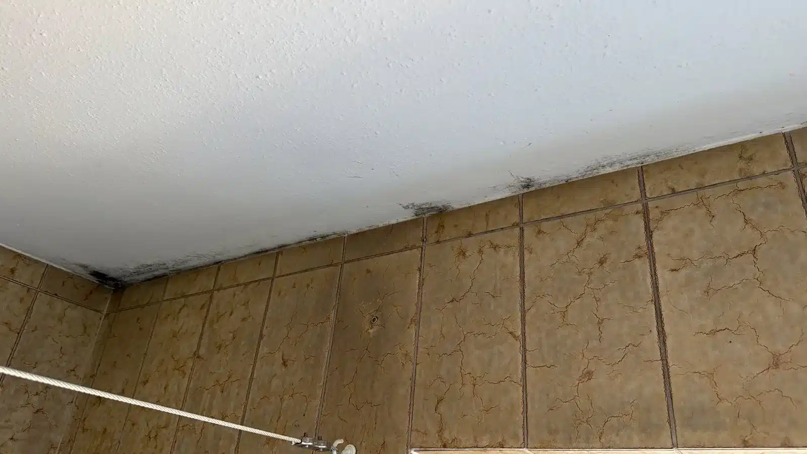 wasserschaden decke schimmel baddecke - Wasser von der Decke: Ursachen erkennen und richtig handeln