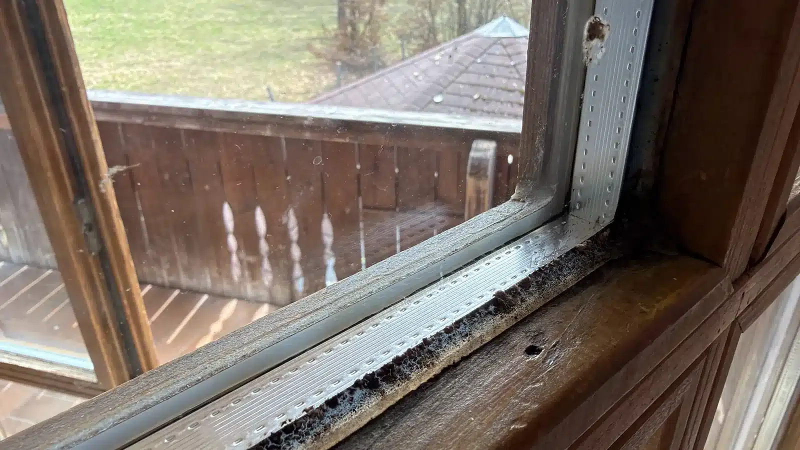 wasserschaden gutachter feuchteschaden fenster - Wann brauche ich einen Gutachter f&uuml;r den Wasserschaden?