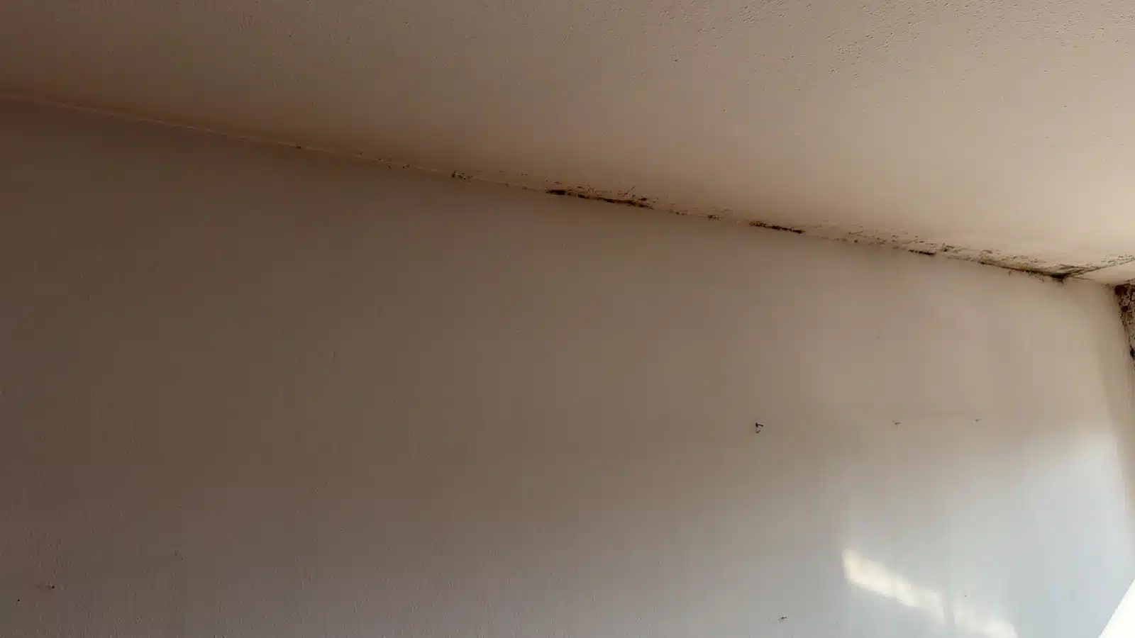 wasserschaden gutachter schadensbild wand decke - Wann brauche ich einen Gutachter f&uuml;r den Wasserschaden?