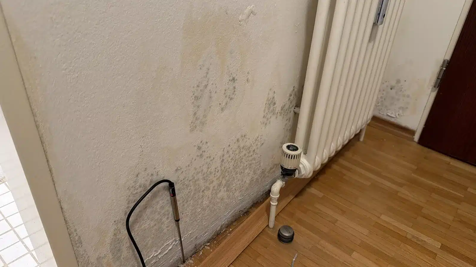 wasserschaden mietwohnung feuchte wand trocknung - Wasserschaden in der Mietwohnung: Rechte, Pflichten und Mietminderung