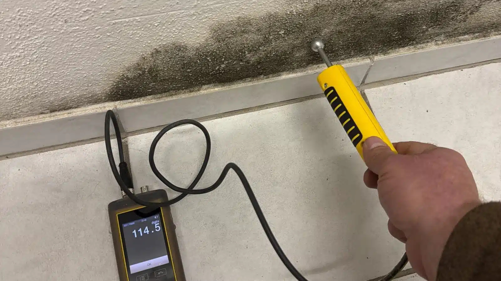 Feuchtemessung mit Sondenmessgerät an einer von Schimmel befallenen Wandecke